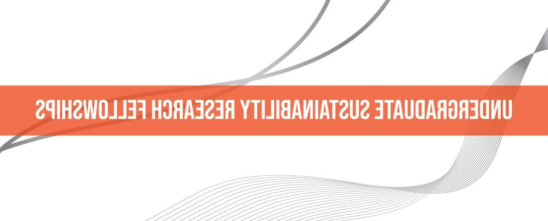 了解金沙中国的可持续发展学术课程